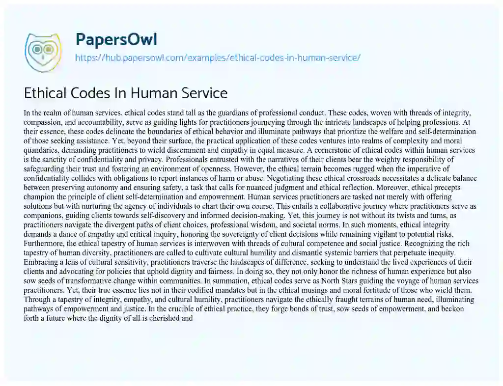 Essay on Ethical Codes In Human Service