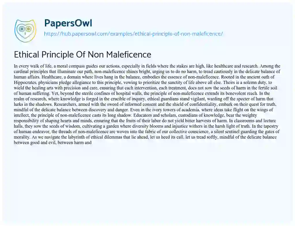 Essay on Ethical Principle Of Non Maleficence
