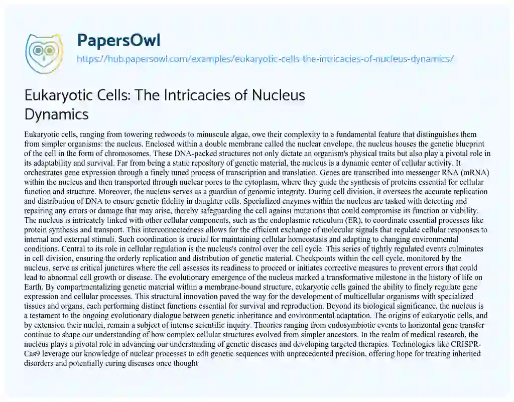 Essay on Eukaryotic Cells: The Intricacies of Nucleus Dynamics