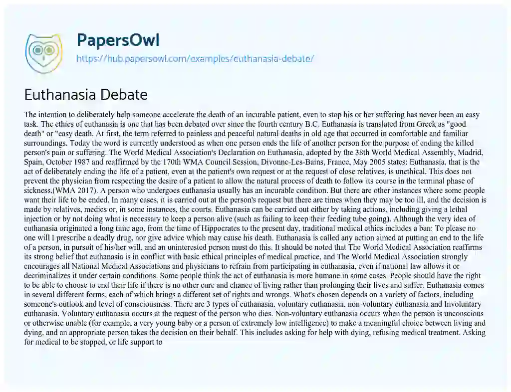 Essay on Euthanasia Debate
