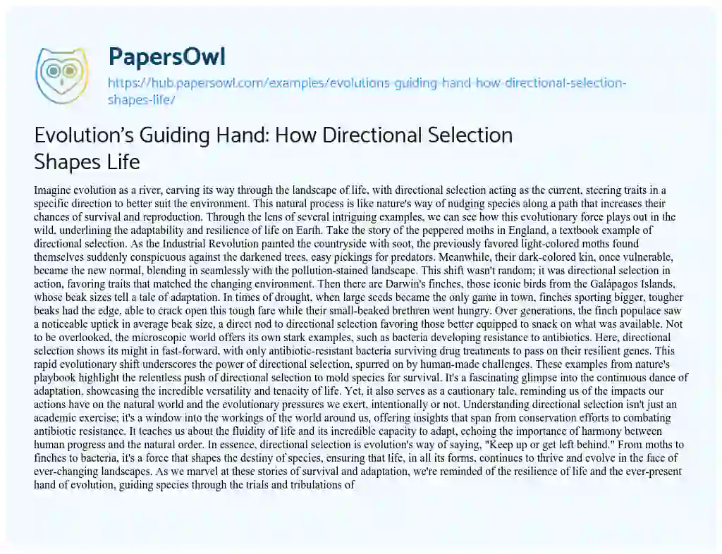 Essay on Evolution’s Guiding Hand: How Directional Selection Shapes Life