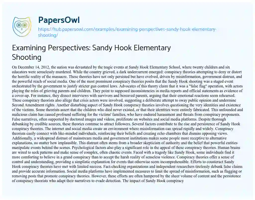Essay on Examining Perspectives: Sandy Hook Elementary Shooting
