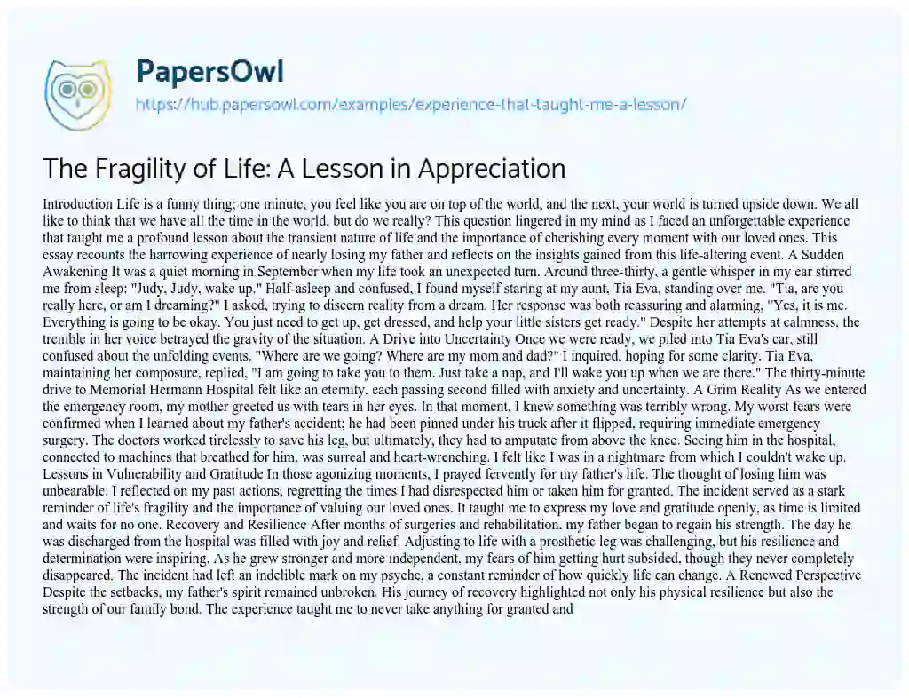 Essay on The Fragility of Life: A Lesson in Appreciation