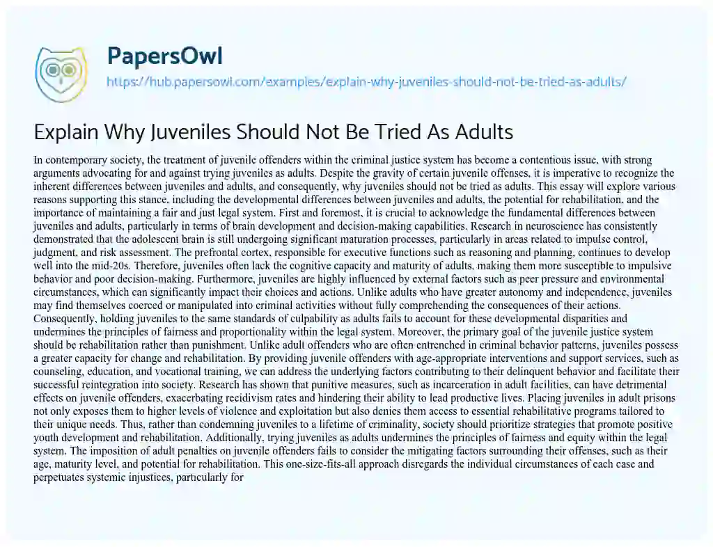 Essay on Explain Why Juveniles Should Not Be Tried As Adults