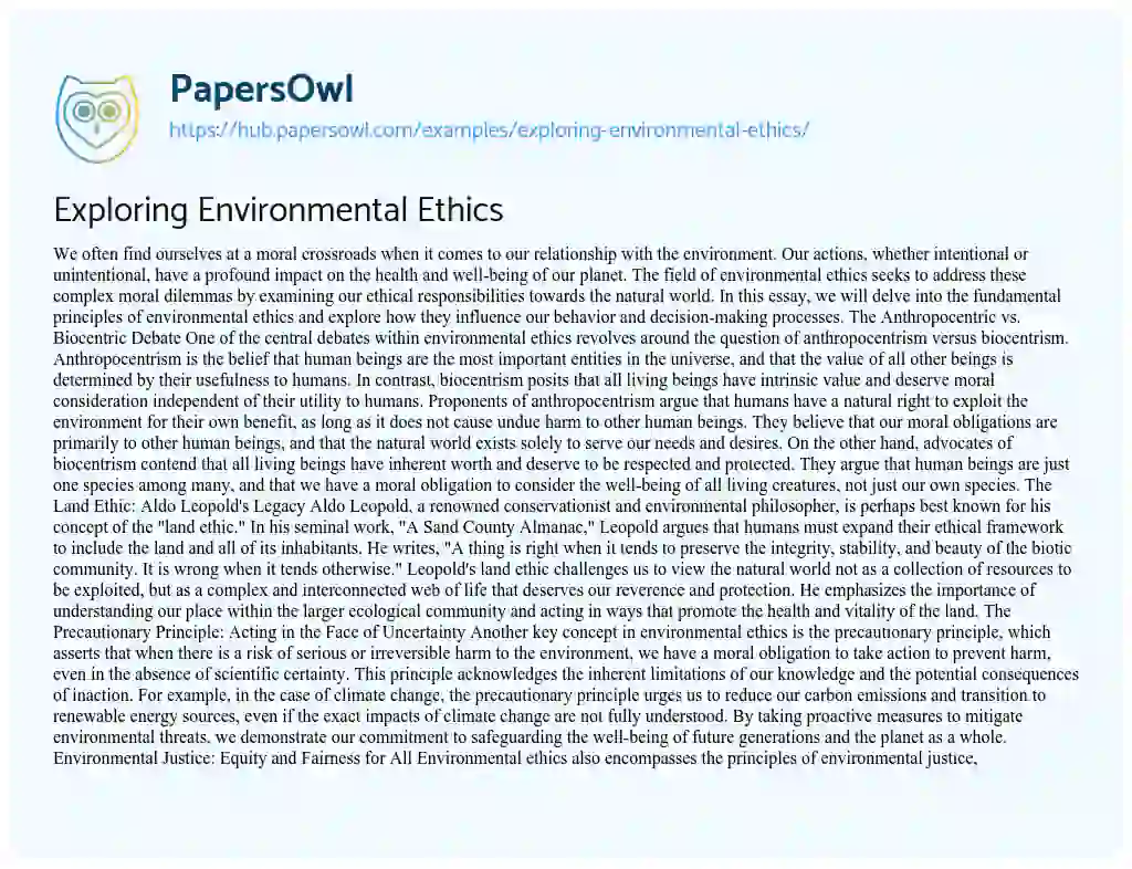 Essay on Exploring Environmental Ethics
