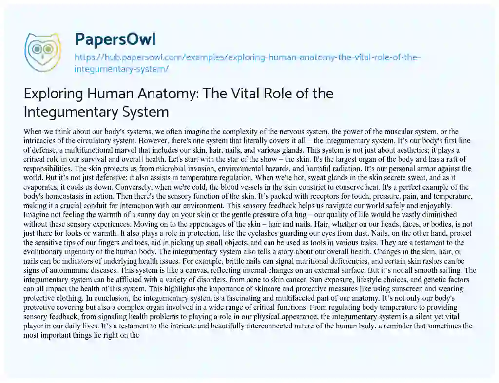 Essay on Exploring Human Anatomy: The Vital Role of the Integumentary System