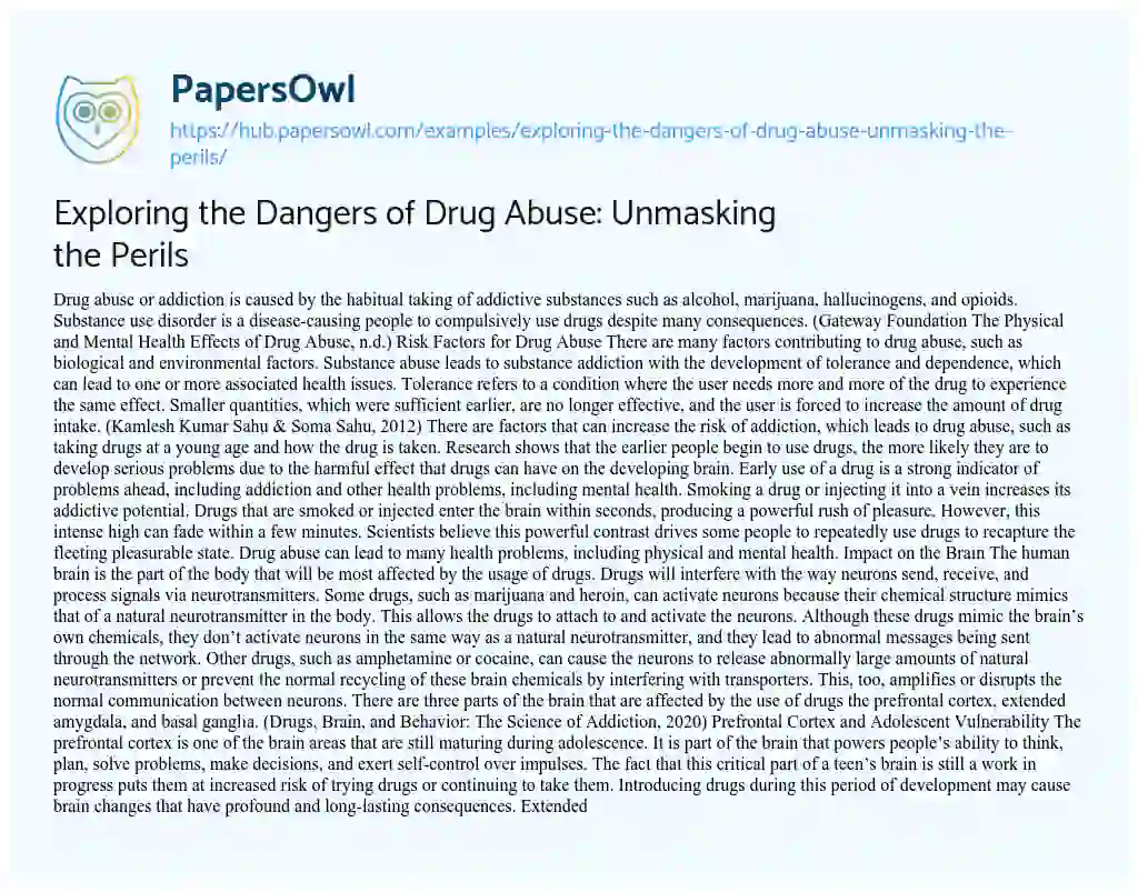 Essay on Exploring the Dangers of Drug Abuse: Unmasking the Perils