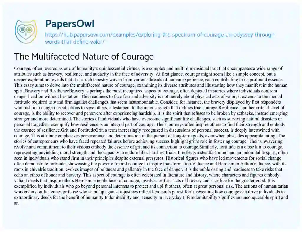 Essay on The Multifaceted Nature of Courage