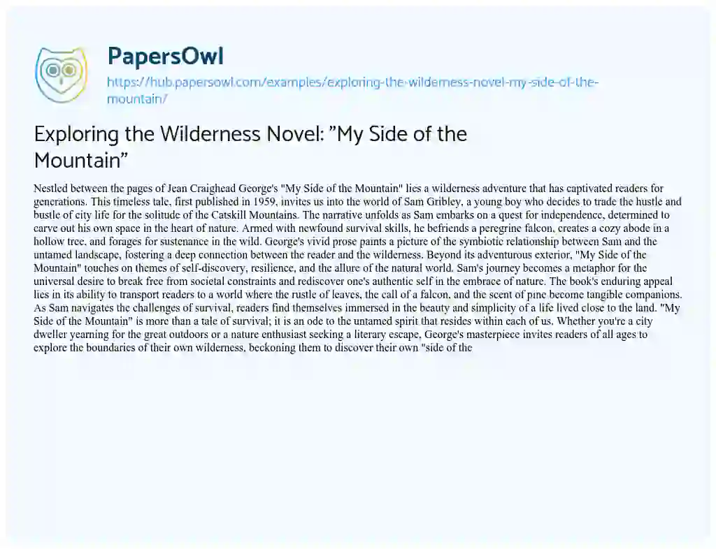 Essay on Exploring the Wilderness Novel: “My Side of the Mountain”