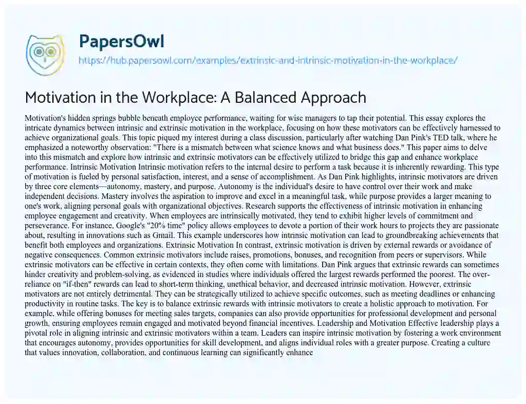 Essay on Motivation in the Workplace: A Balanced Approach