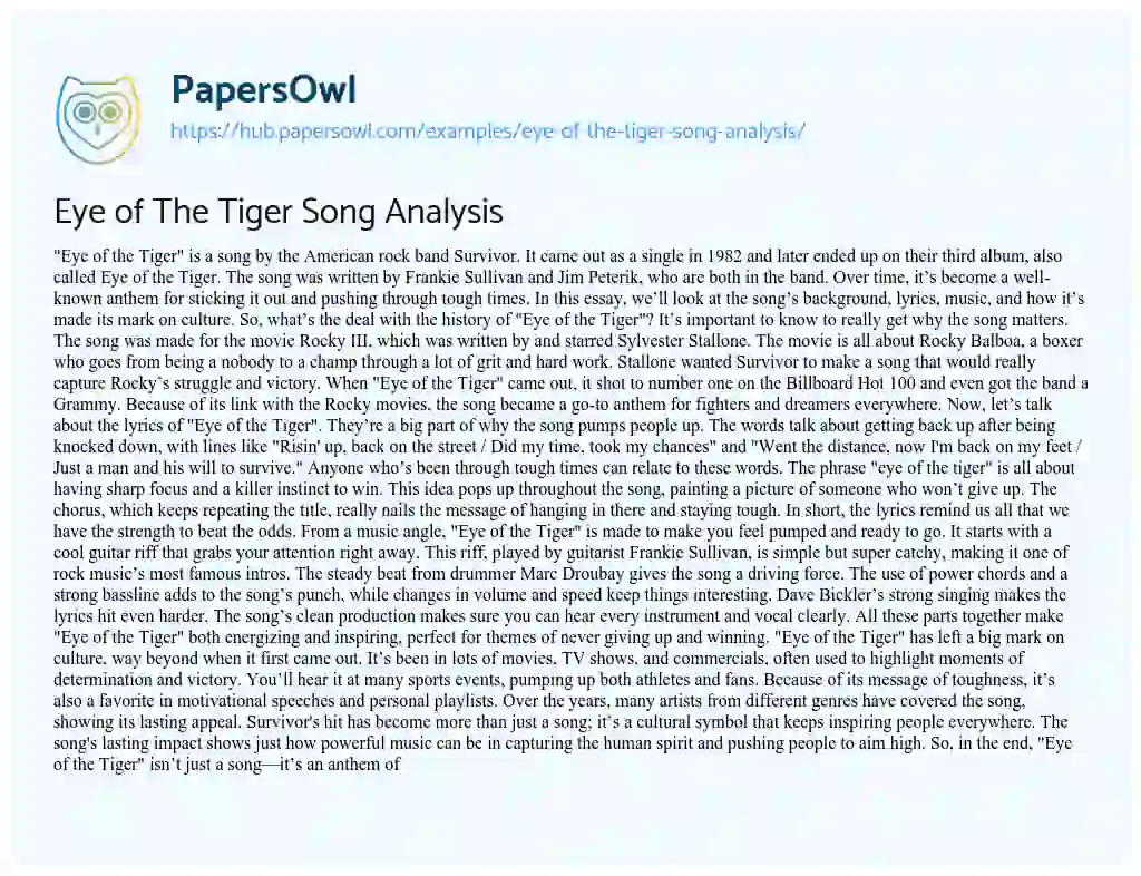 Essay on Eye of The Tiger Song Analysis