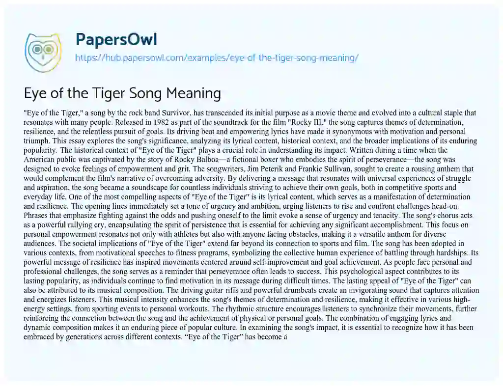 Essay on Eye of the Tiger Song Meaning