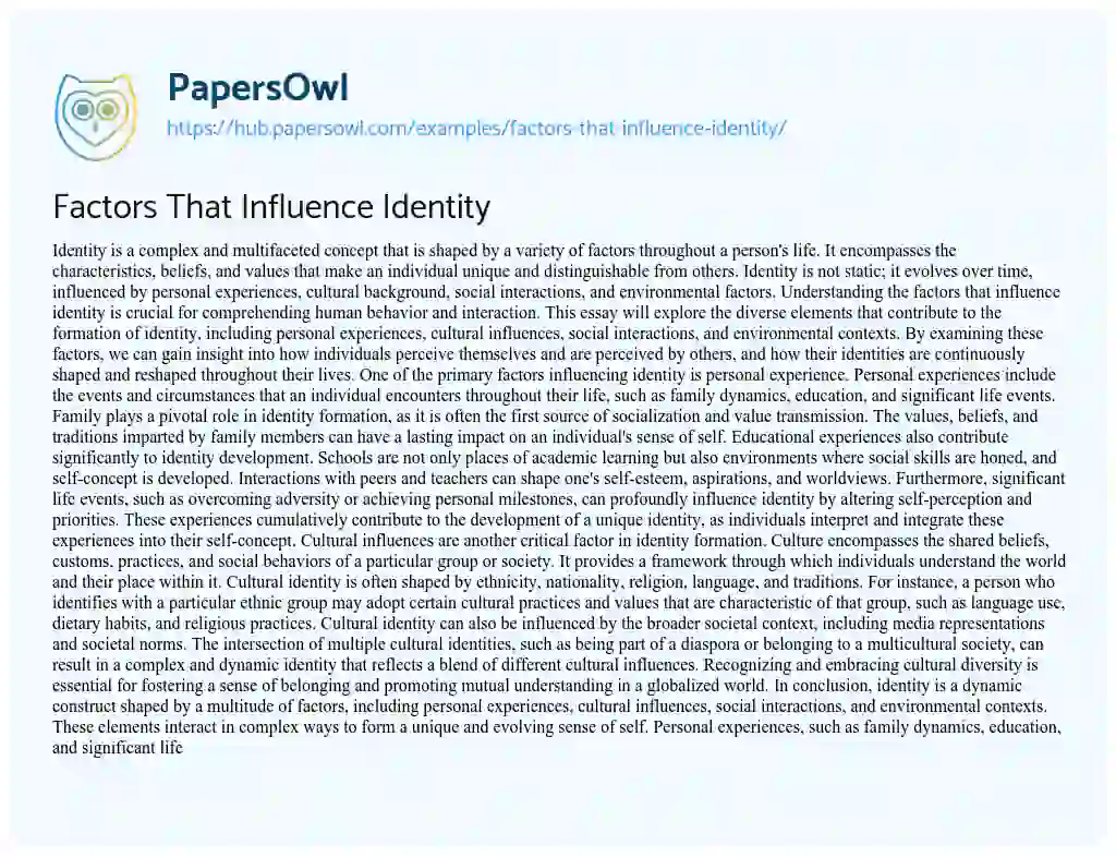 Essay on Factors That Influence Identity