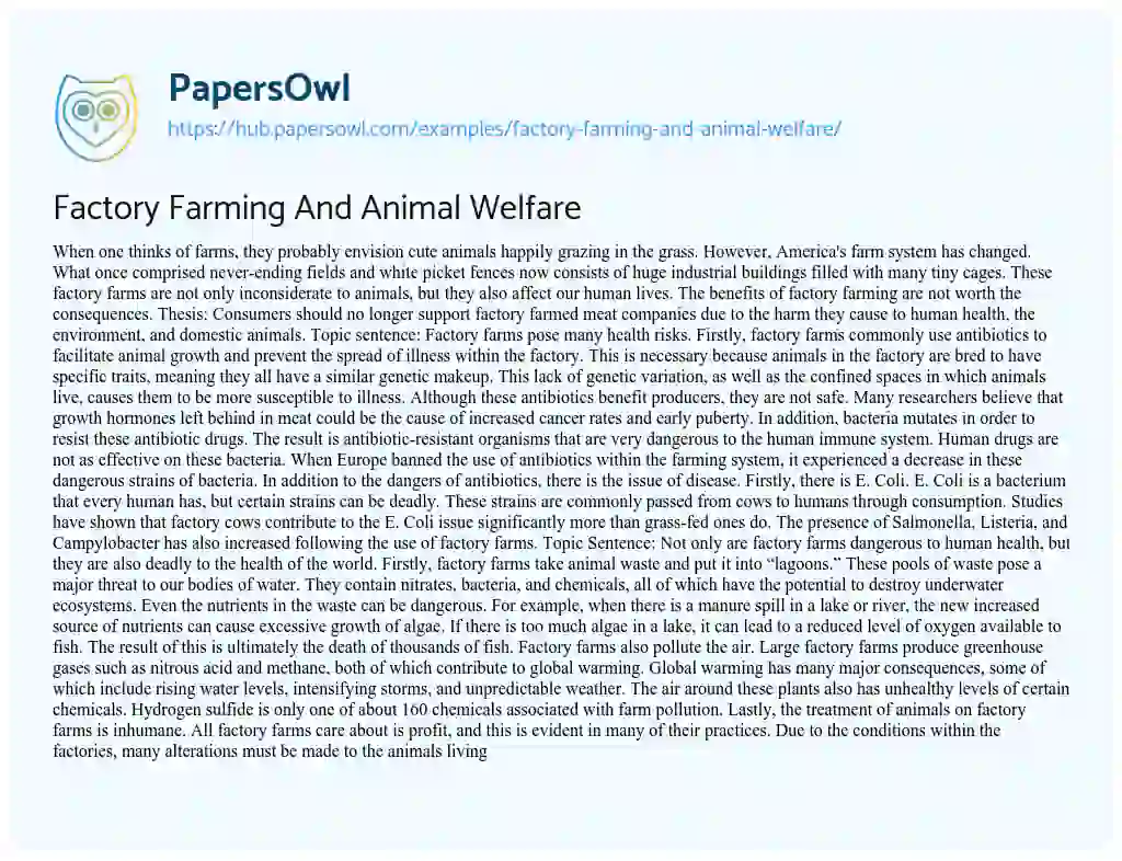 Essay on Factory Farming And Animal Welfare