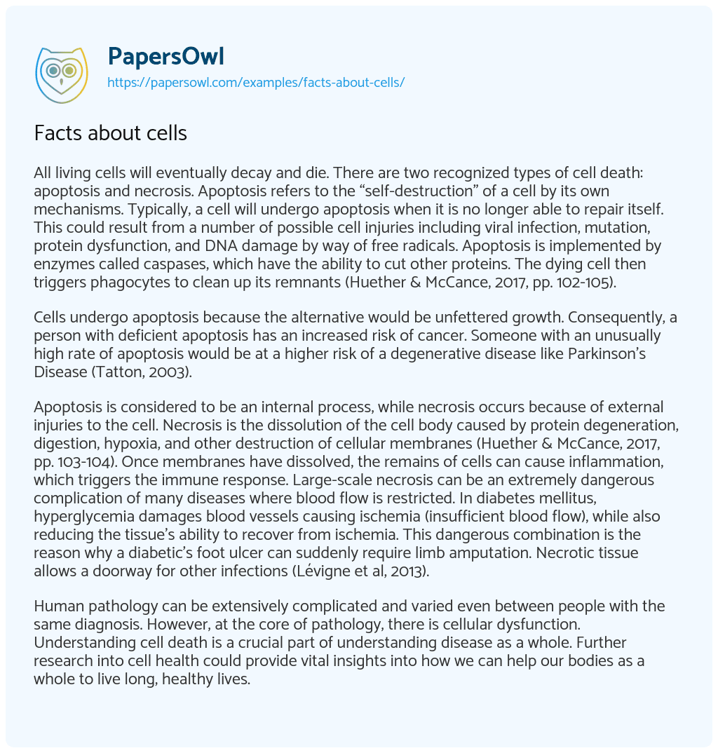 Essay on Facts about cells