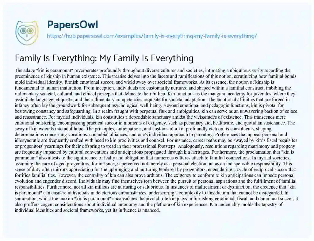Essay on Family Is Everything: My Family Is Everything