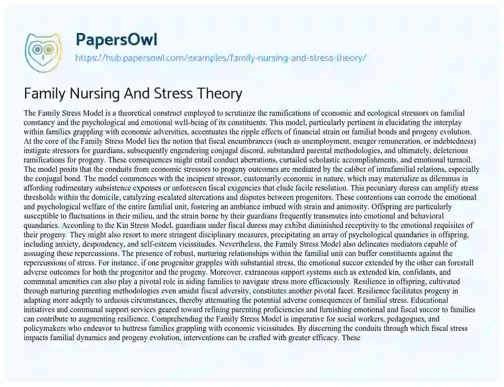 Essay on Family Nursing And Stress Theory