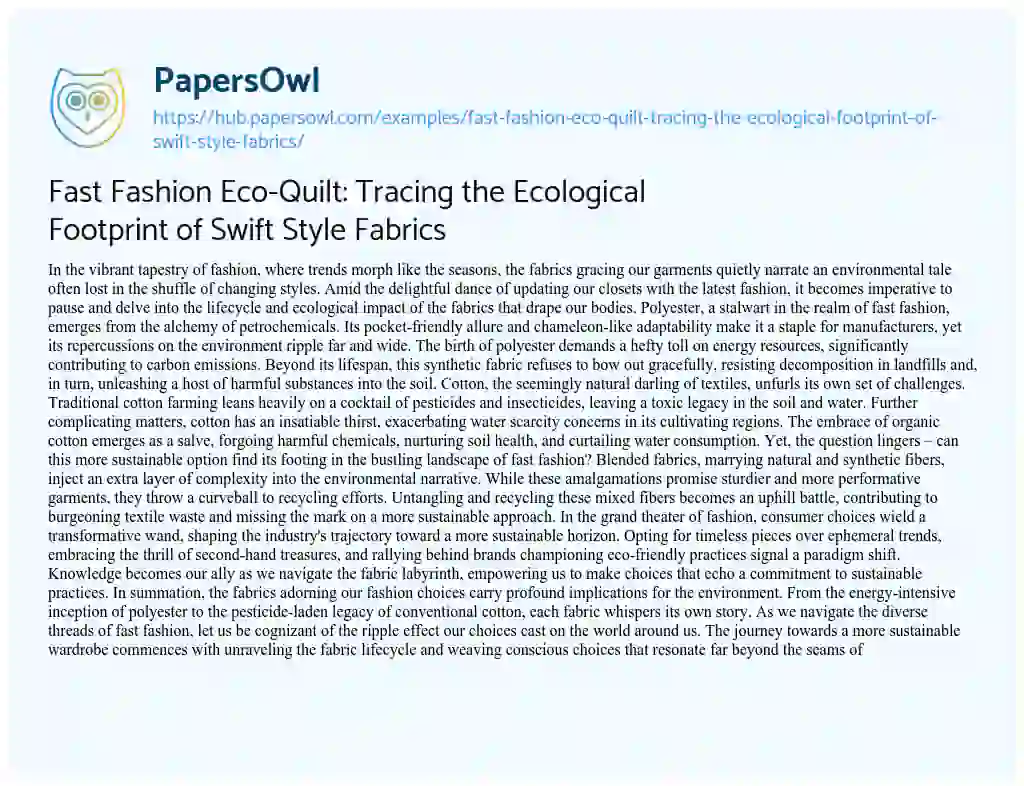 Essay on Fast Fashion Eco-Quilt: Tracing the Ecological Footprint of Swift Style Fabrics