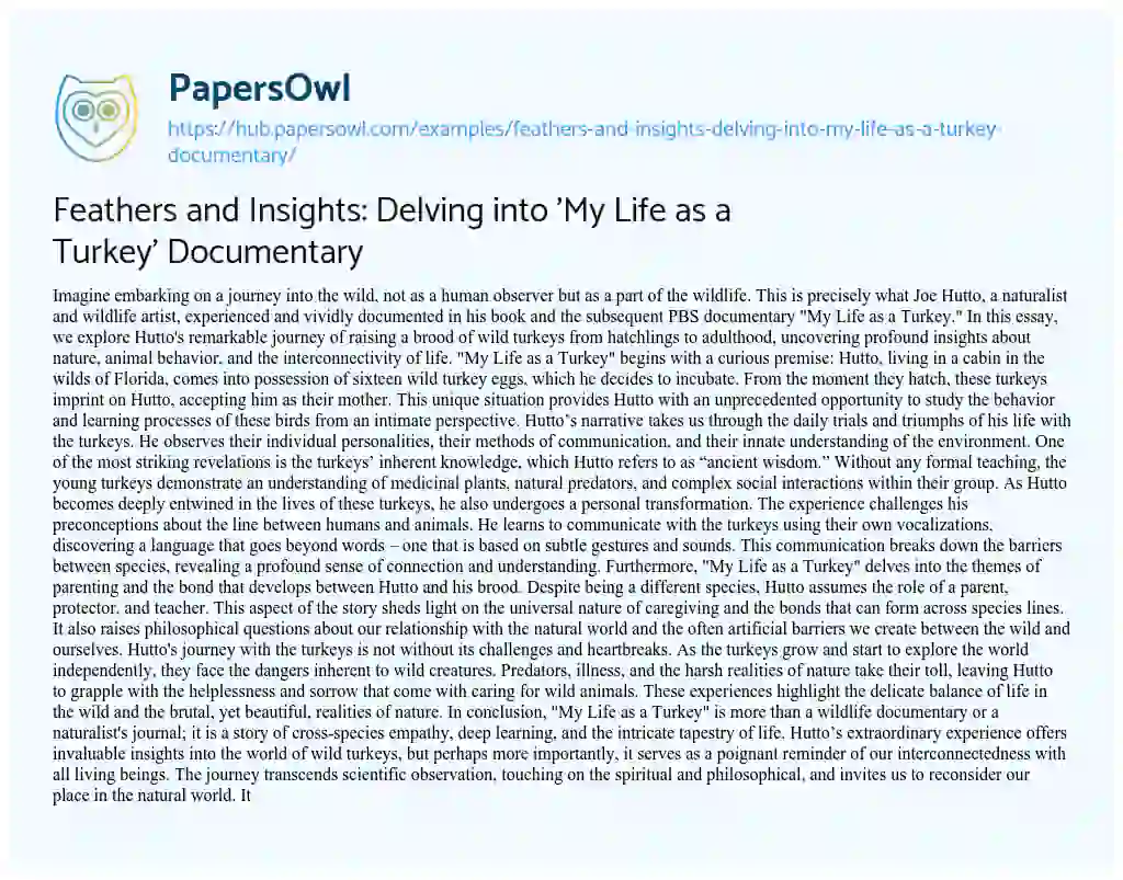 Essay on Feathers and Insights: Delving into ‘My Life as a Turkey’ Documentary