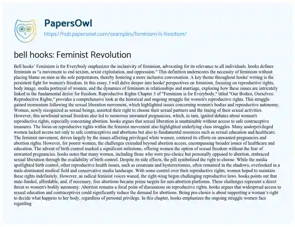 Essay on bell hooks: Feminist Revolution