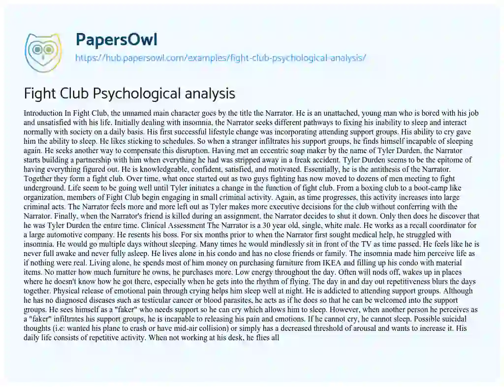 Essay on Fight Club Psychological analysis
