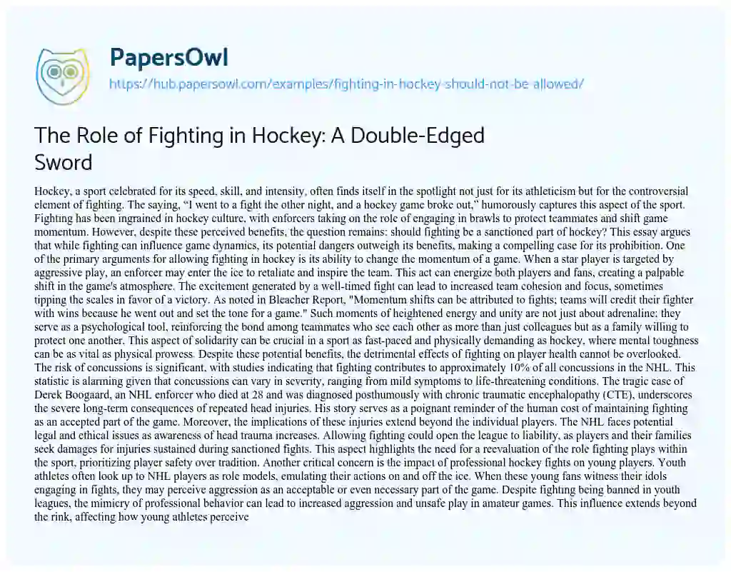 Essay on The Role of Fighting in Hockey: A Double-Edged Sword