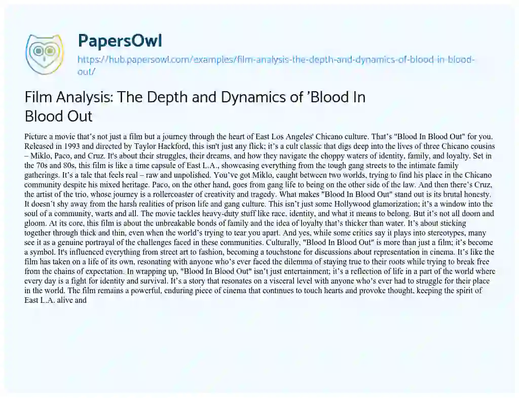 Essay on Film Analysis: The Depth and Dynamics of ‘Blood In Blood Out