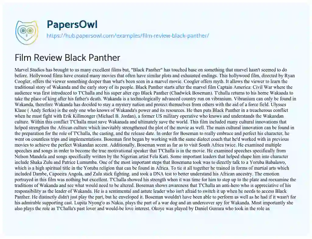 Essay on Film Review Black Panther