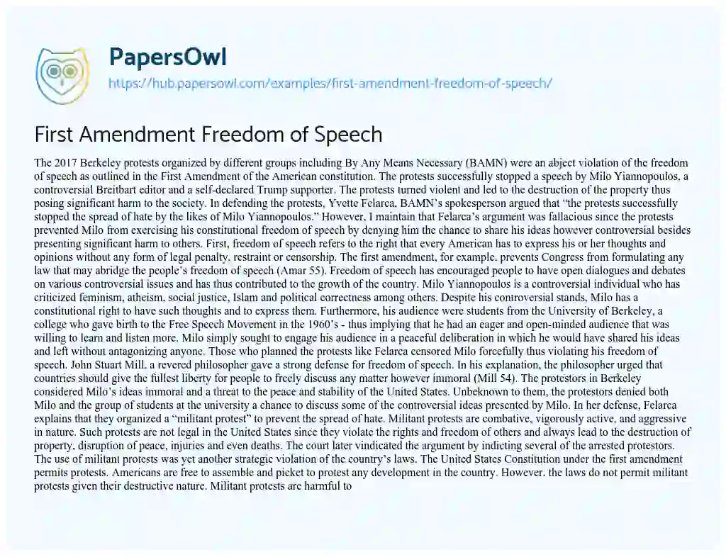 Essay on First Amendment Freedom of Speech