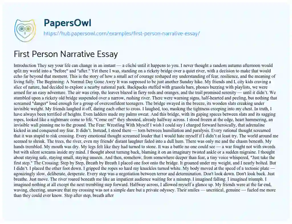 Essay on First Person Narrative Essay