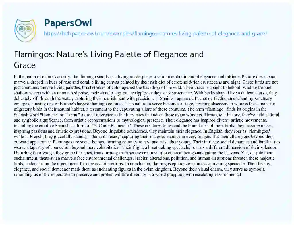 Essay on Flamingos: Nature’s Living Palette of Elegance and Grace