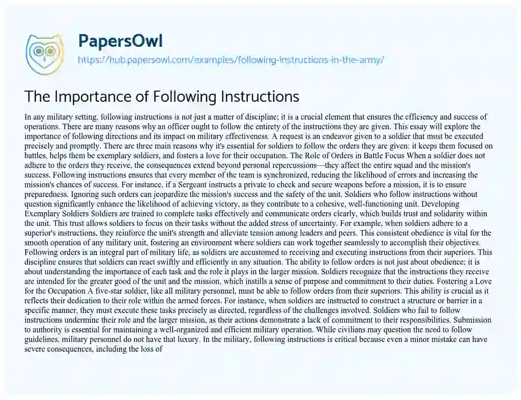 Essay on The Importance of Following Instructions