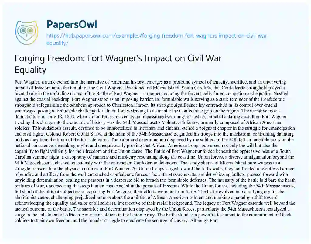 Essay on Forging Freedom: Fort Wagner’s Impact on Civil War Equality