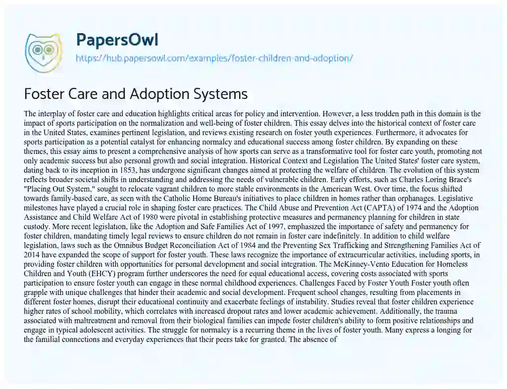 Essay on Foster Care and Adoption Systems