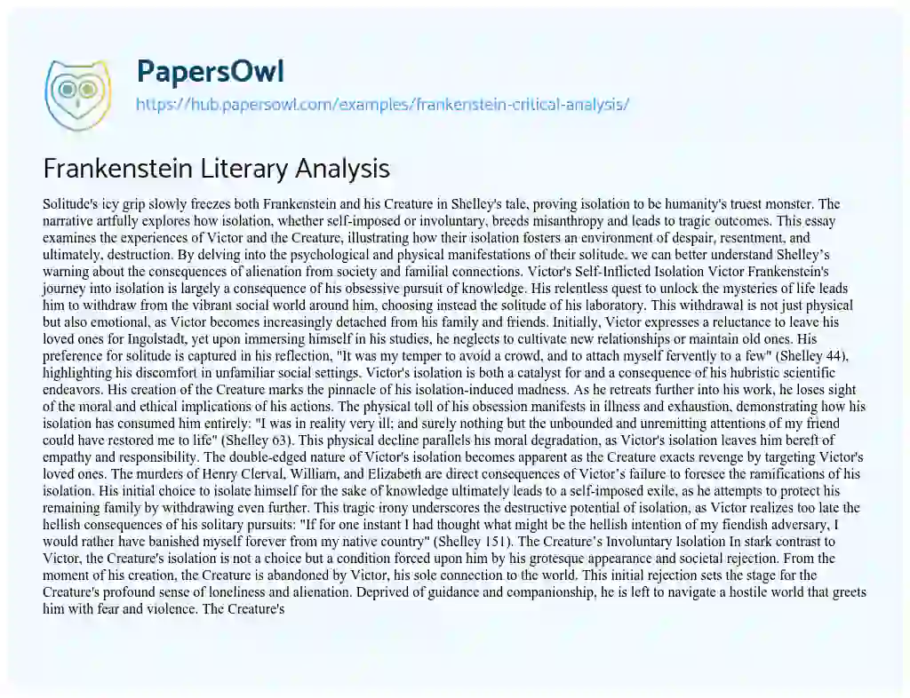 Essay on Frankenstein Literary Analysis