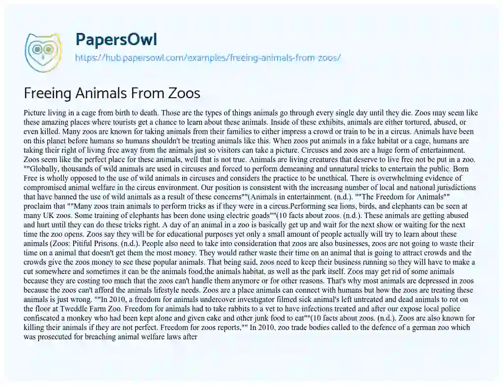 Essay on Freeing Animals From Zoos