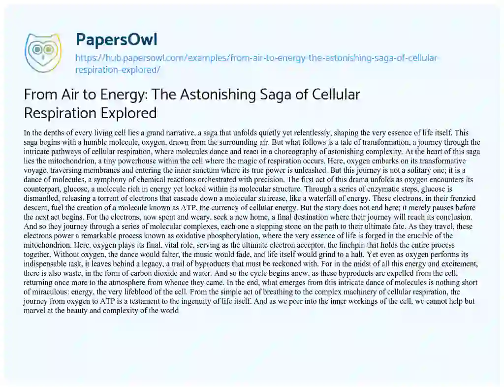 Essay on From Air to Energy: The Astonishing Saga of Cellular Respiration Explored
