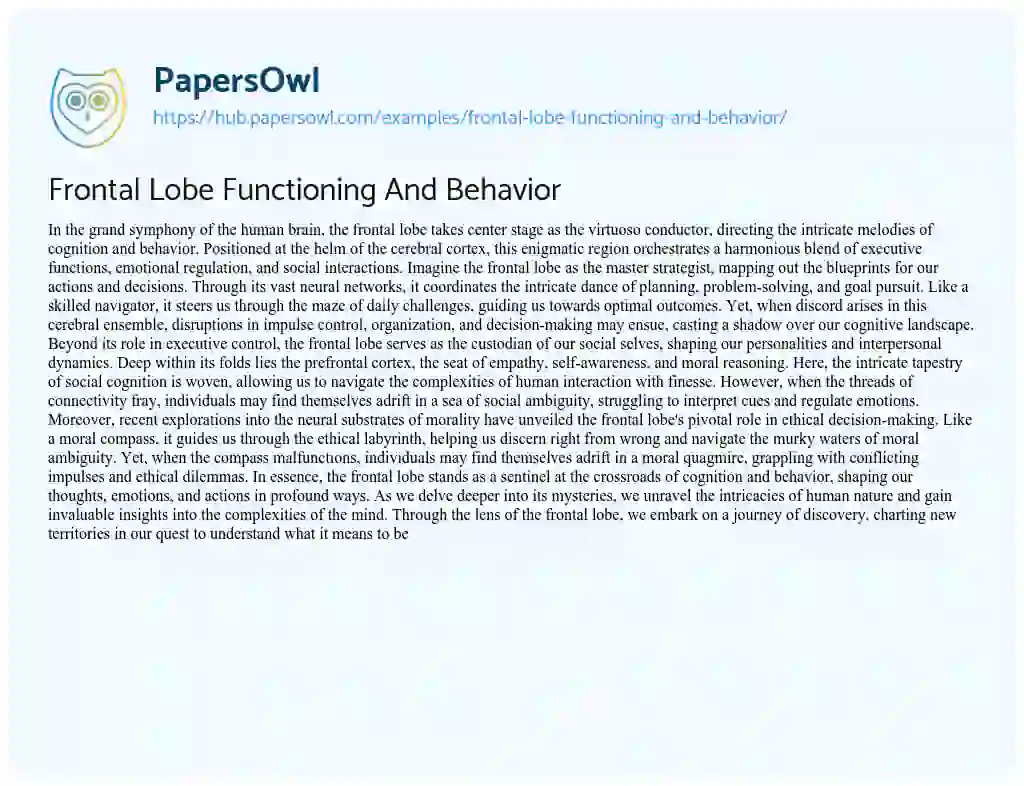 Essay on Frontal Lobe Functioning And Behavior
