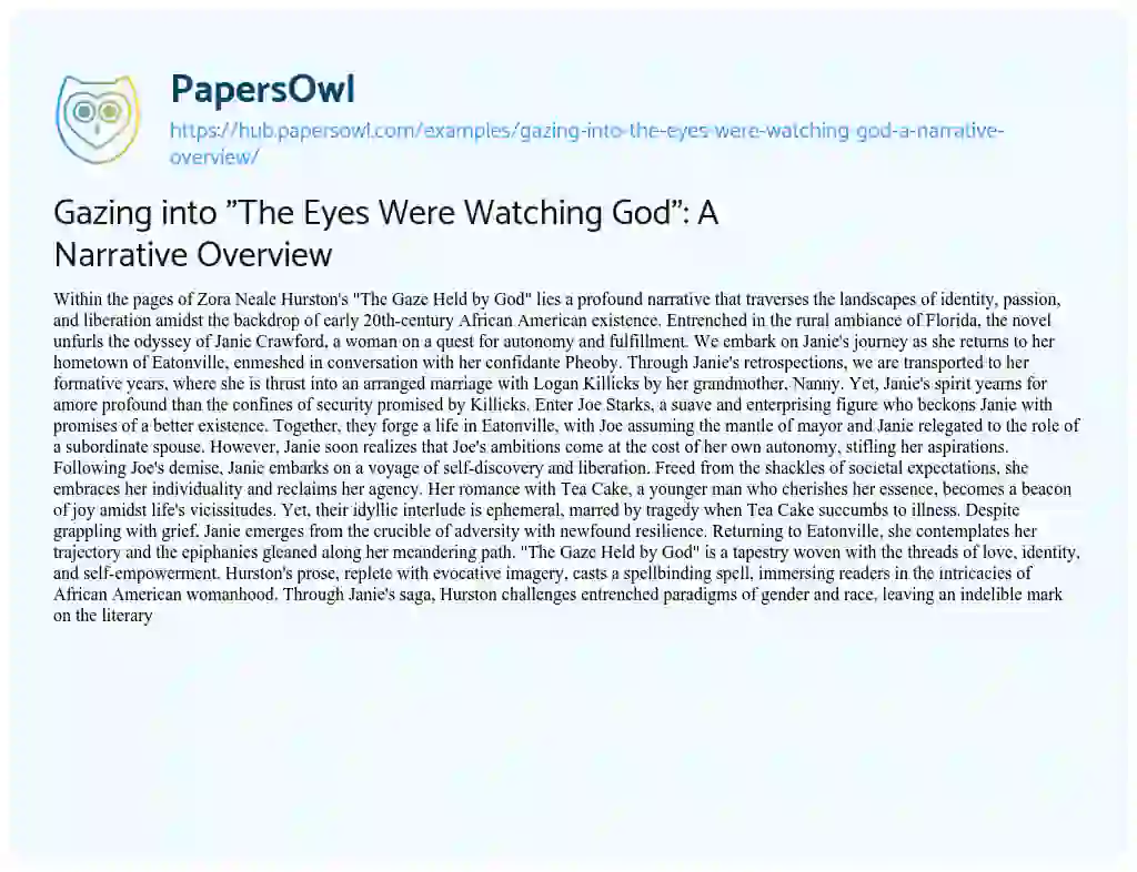 Essay on Gazing into “The Eyes Were Watching God”: A Narrative Overview