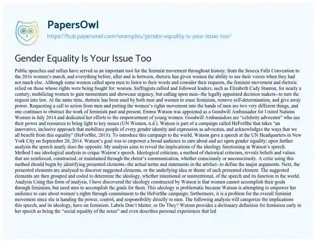Essay on Gender Equality Is Your Issue Too