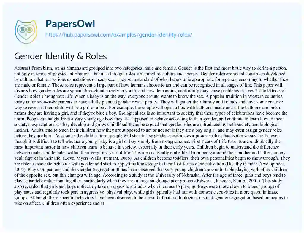 Essay on Gender Identity & Roles