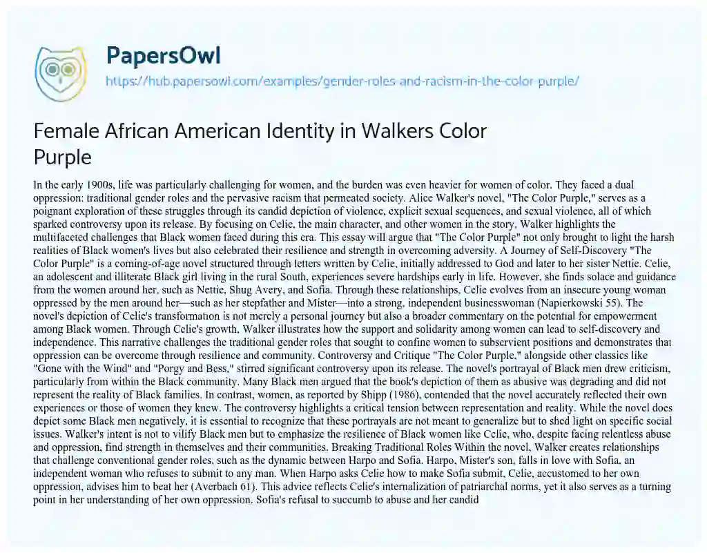 Essay on Female African American Identity in Walkers Color Purple