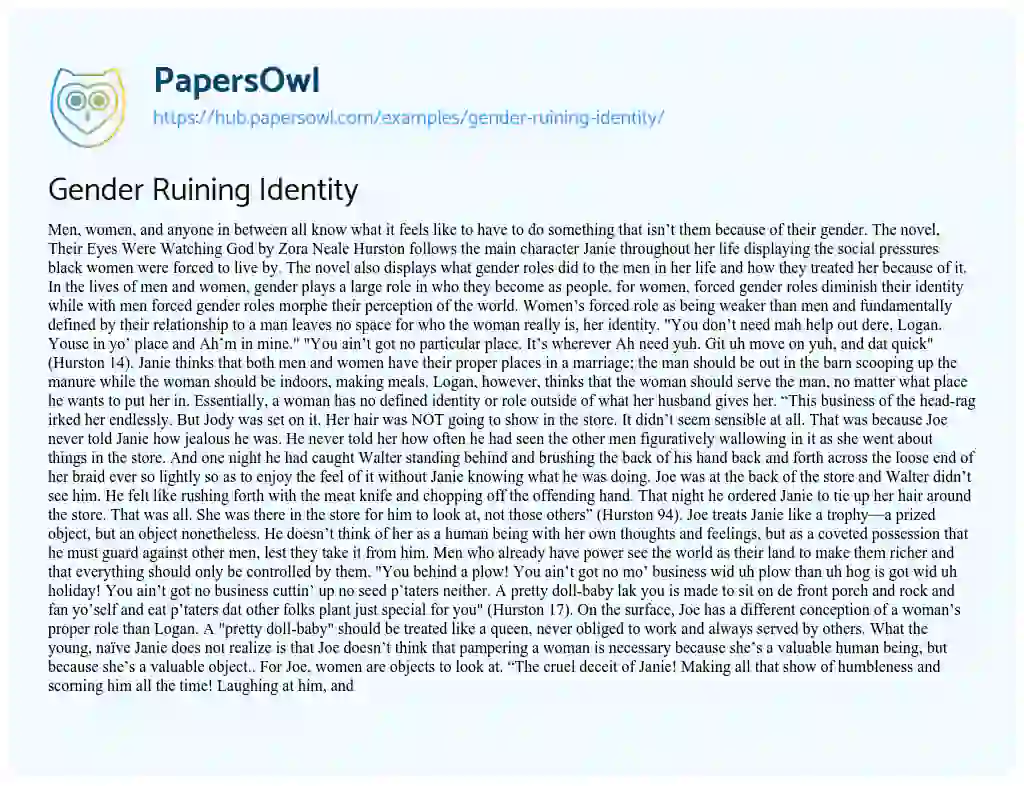 Essay on Gender Ruining Identity