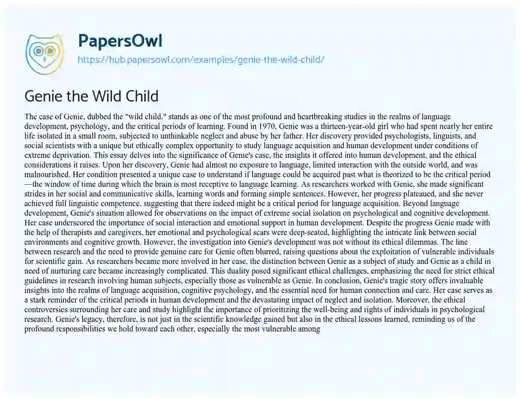 Essay on Genie the Wild Child
