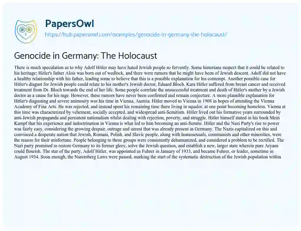 Essay on Genocide in Germany: The Holocaust