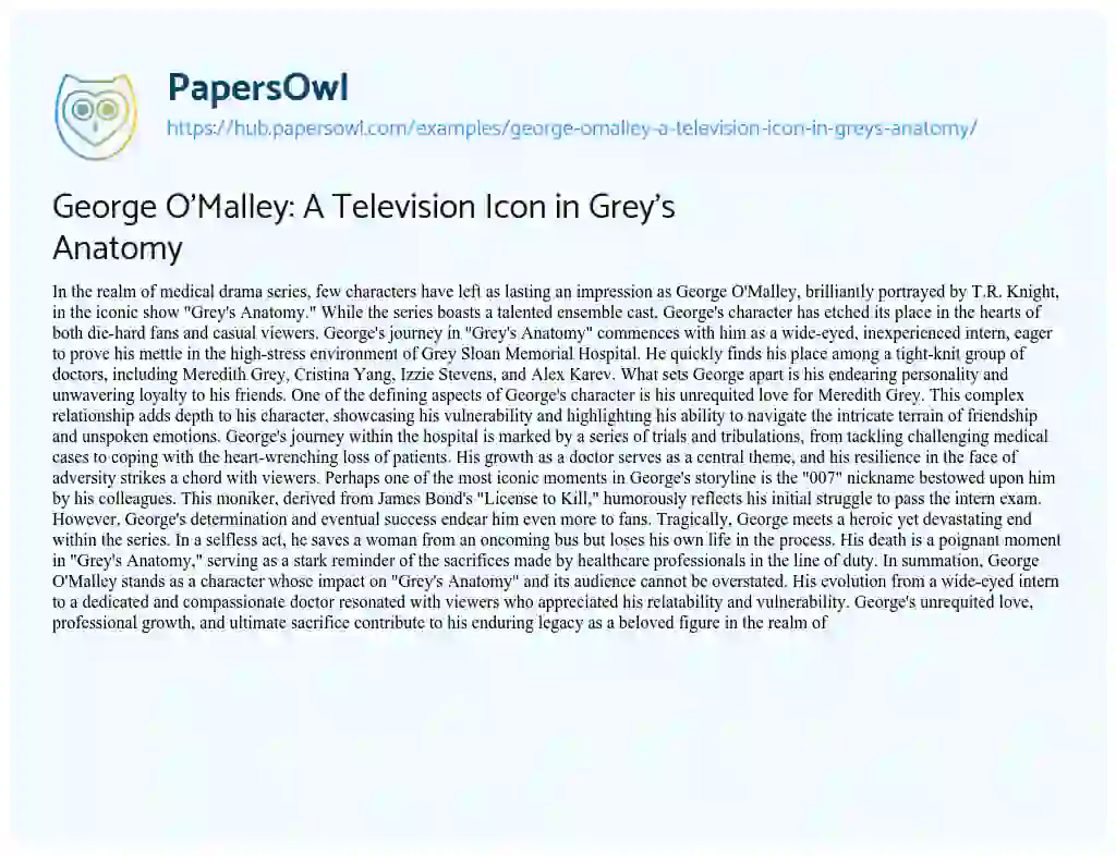 Essay on George O’Malley: A Television Icon in Grey’s Anatomy