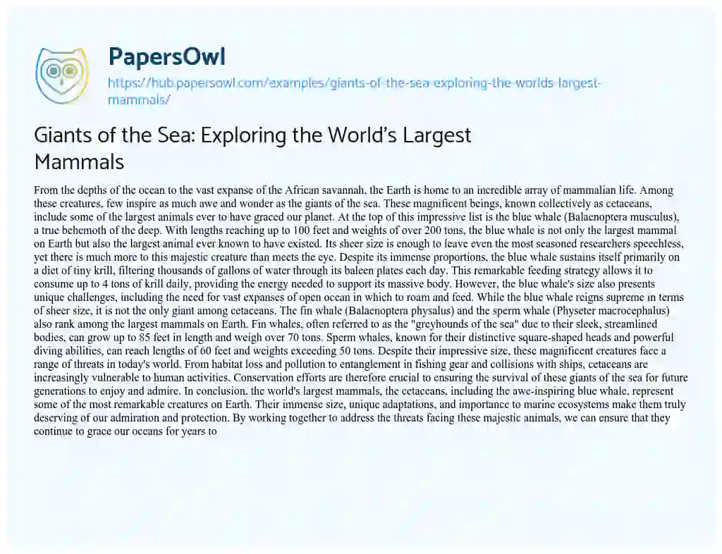 Essay on Giants of the Sea: Exploring the World’s Largest Mammals