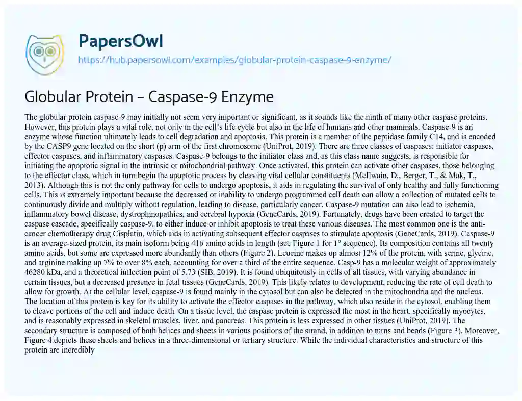 Essay on Globular Protein – Caspase-9 Enzyme