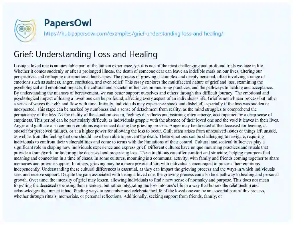 Essay on Grief: Understanding Loss and Healing