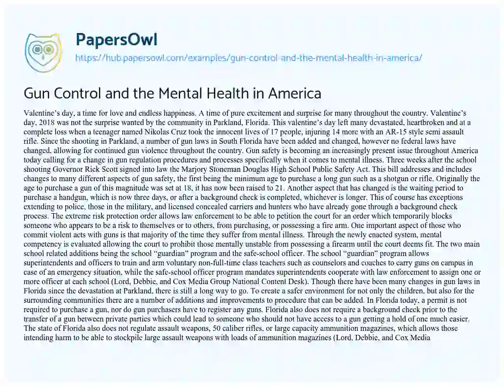 Essay on Gun Control and the Mental Health in America